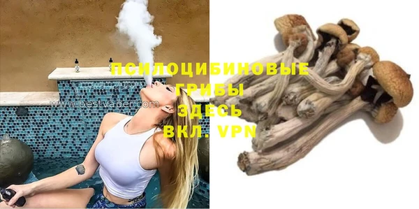 стаф Алексеевка